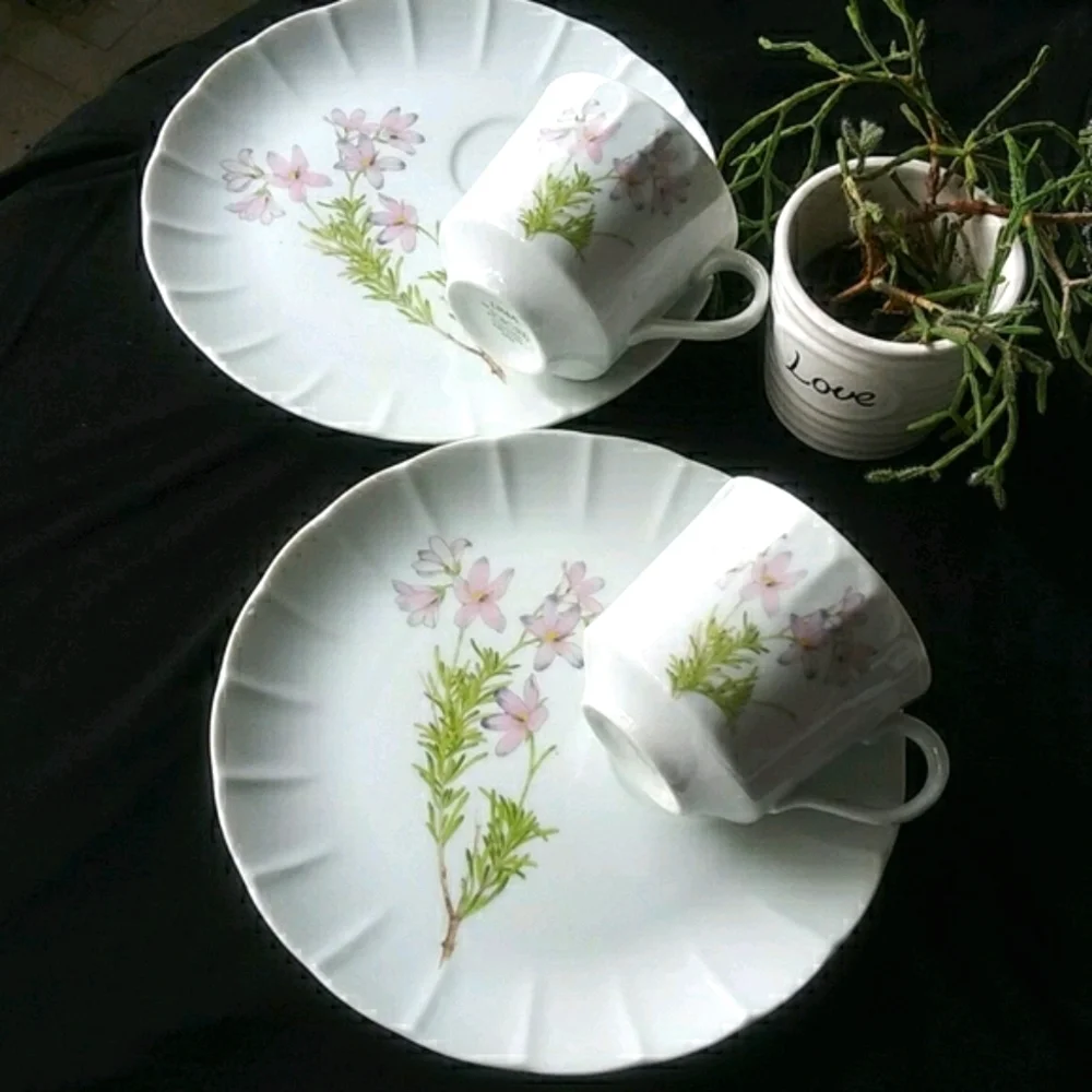 Vintage The Toscany Collection Vintage Japan Cups